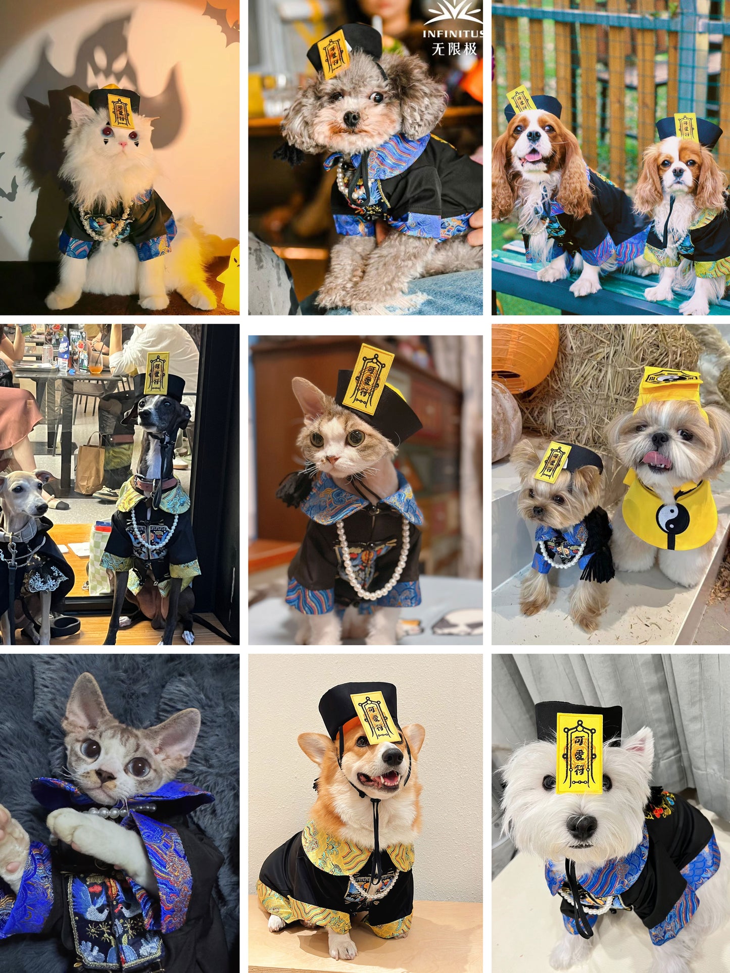 【🎃ハロウィン限定ドッグウェア】ちびキョンシー