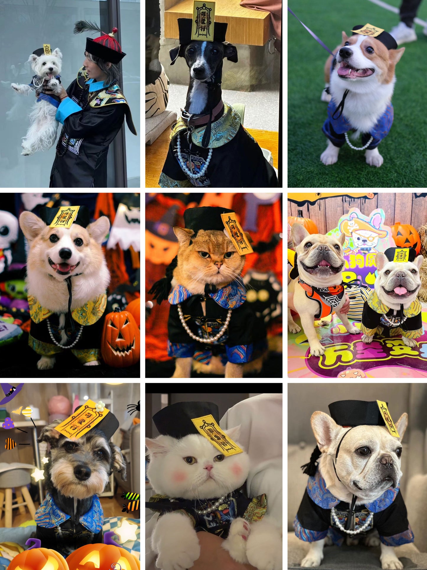 【🎃ハロウィン限定ドッグウェア】ちびキョンシー