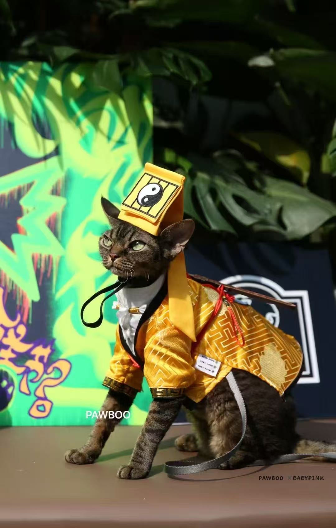 【🎃ハロウィン限定ドッグウェア】小さな道士