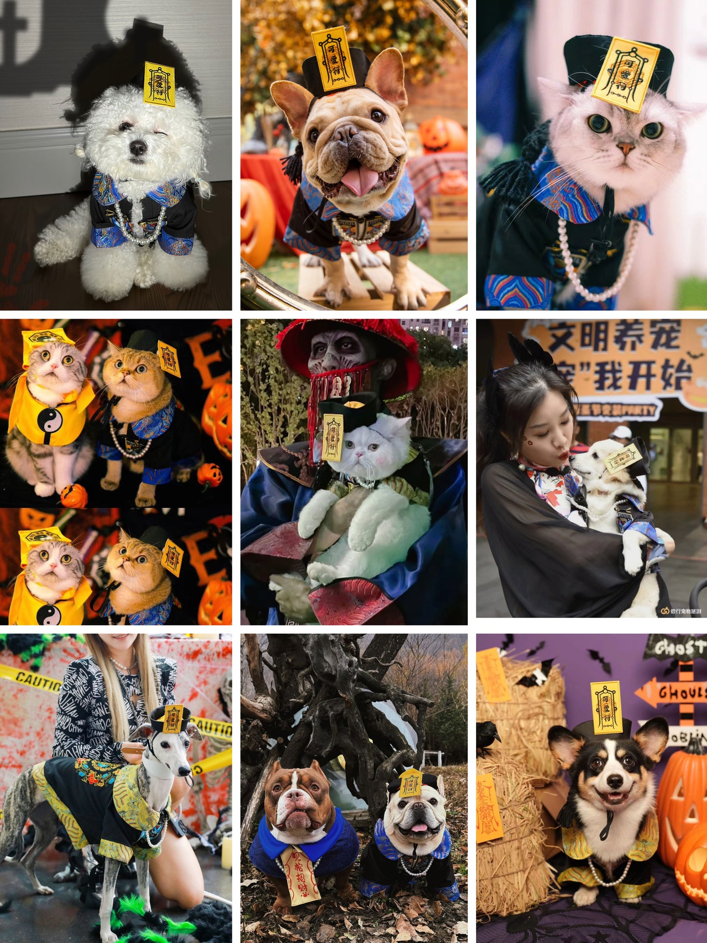【🎃ハロウィン限定ドッグウェア】ちびキョンシー