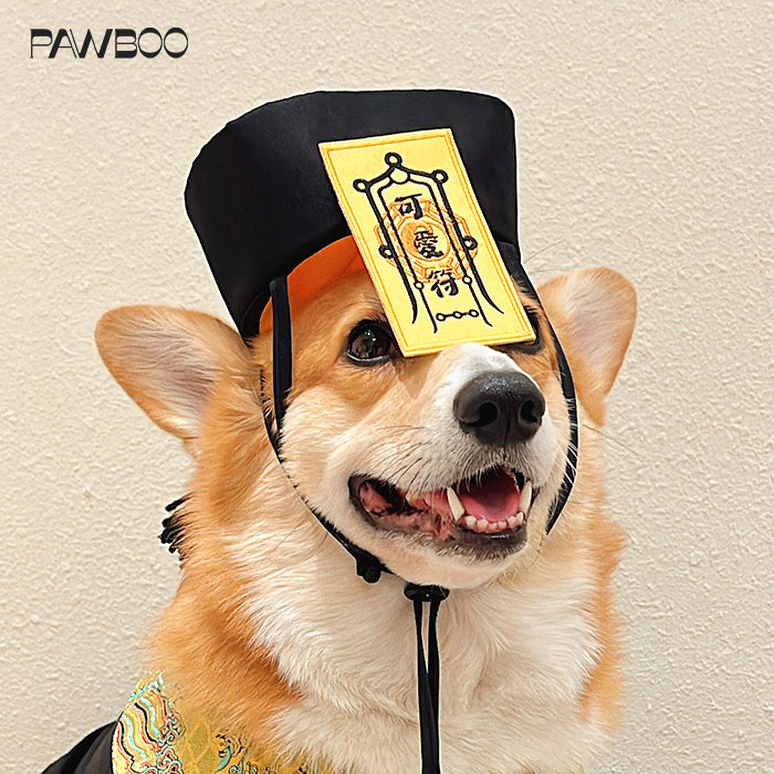 【🎃ハロウィン限定ドッグウェア】ちびキョンシー
