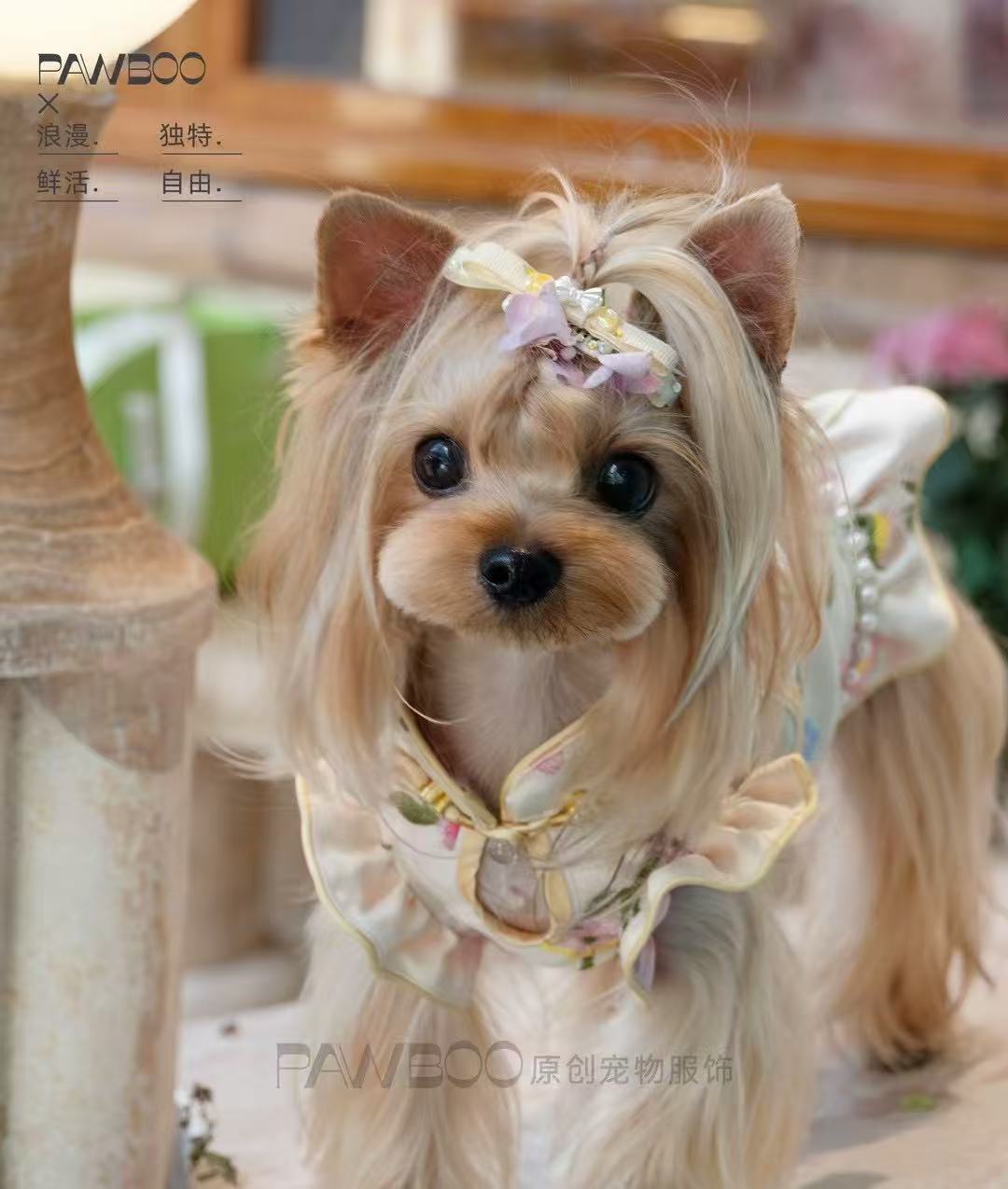 【予約商品】繁花