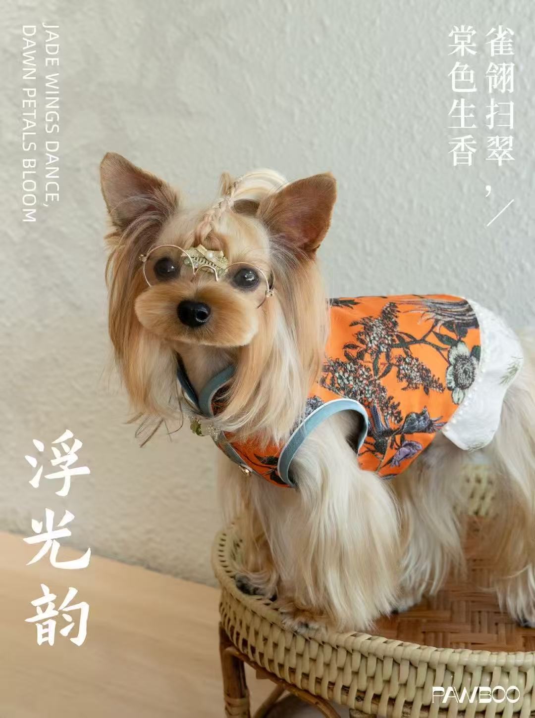 【予約商品】浮光韵
