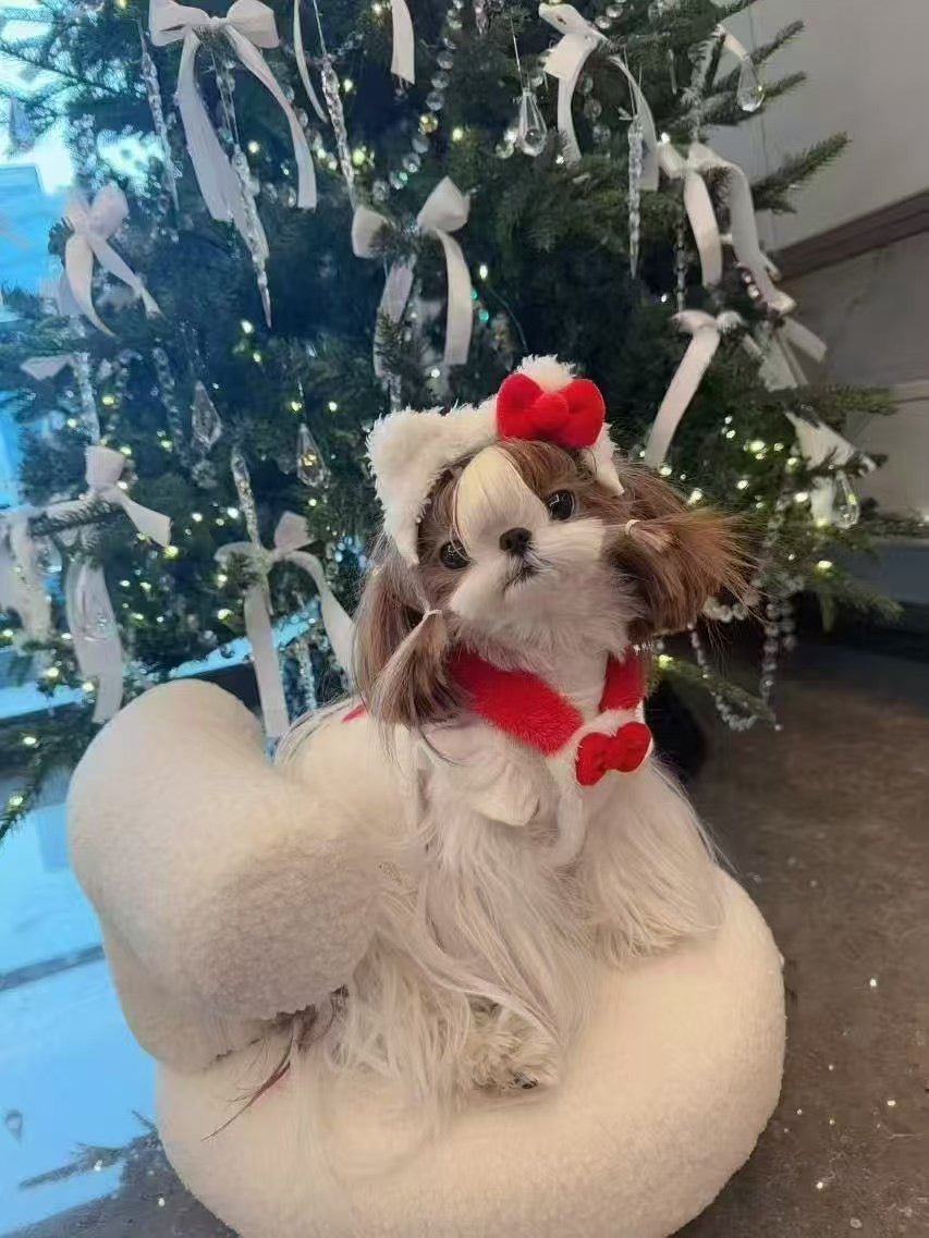 【予約商品】わんちゃんヘアバン