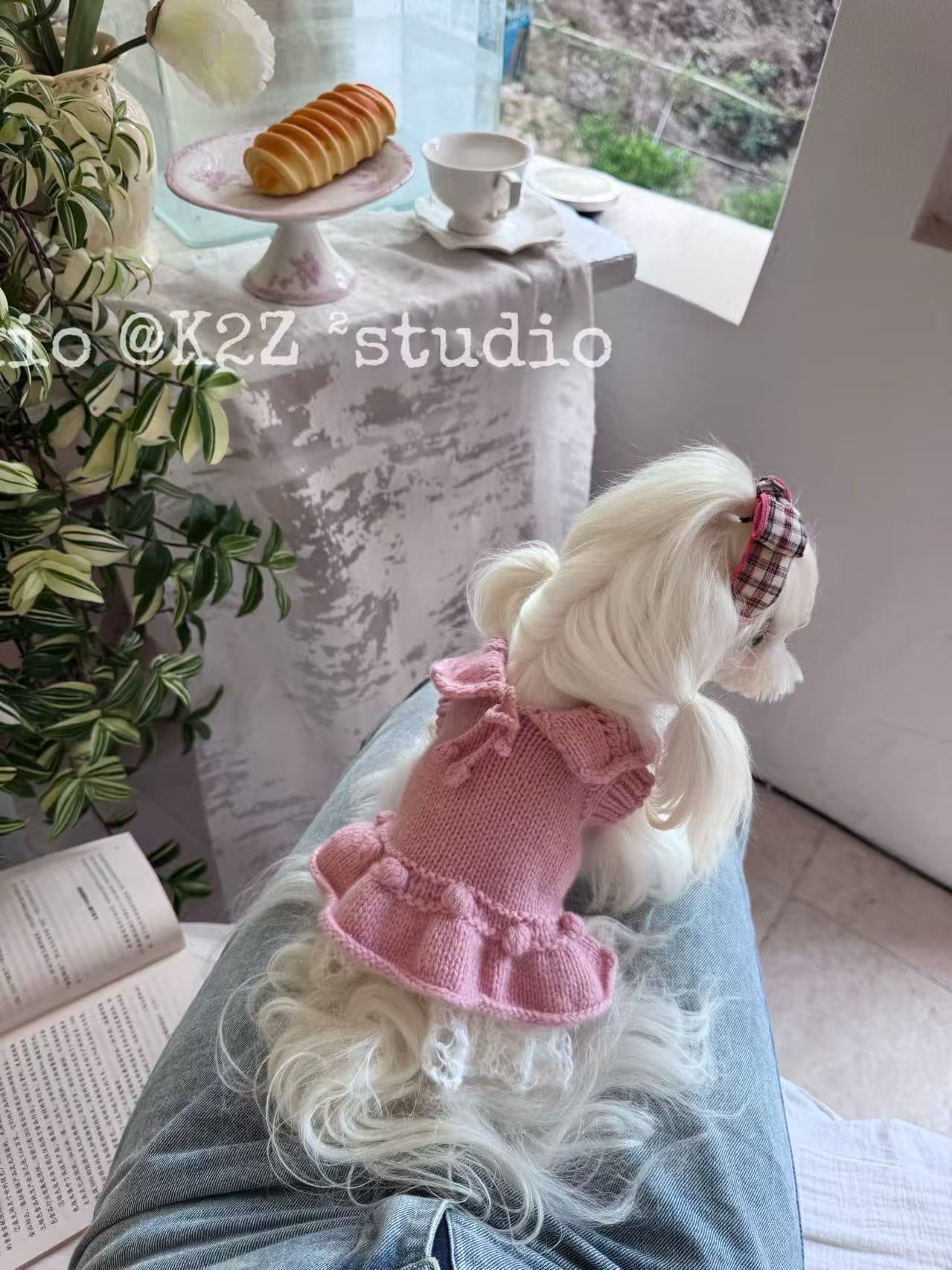 【予約商品】ふわりロゼ