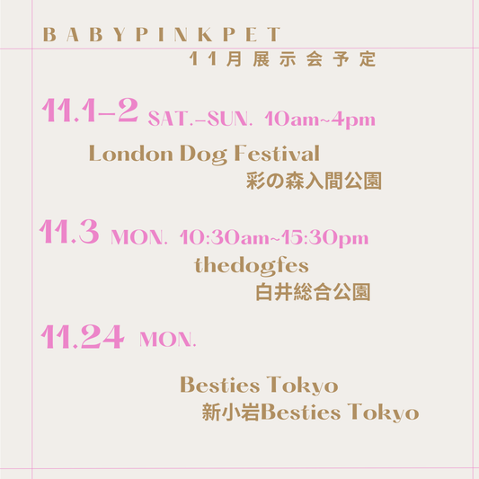 🩷BABYPINK PET11月出展情報のお知らせ🩷