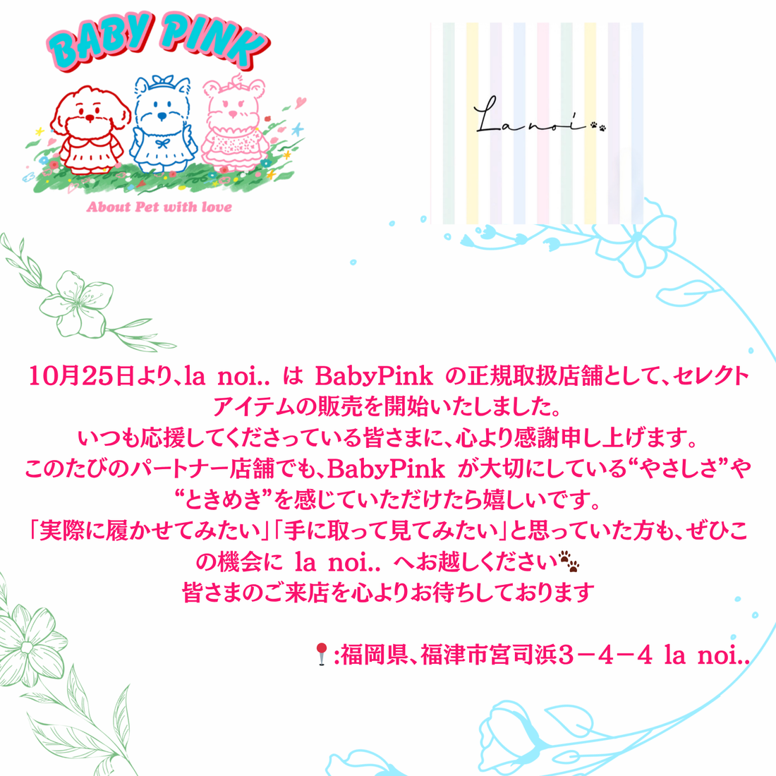 10月25日より、la noi.はBabyPink の正規取扱店舗として、セレクトアイテムの販売を開始いたしました。