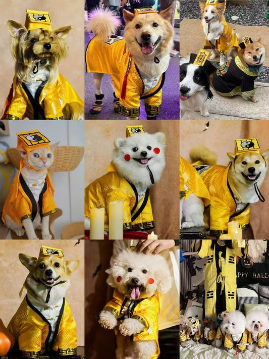 【🎃ハロウィン限定ドッグウェア】小さな道士