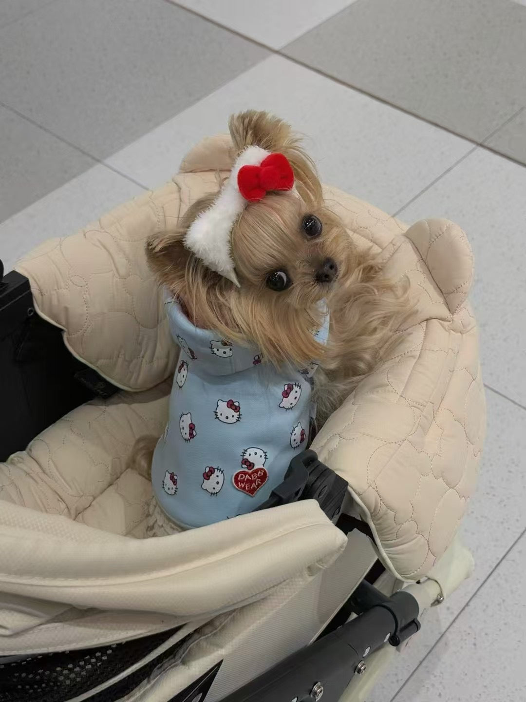 【予約商品】わんちゃんヘアバン