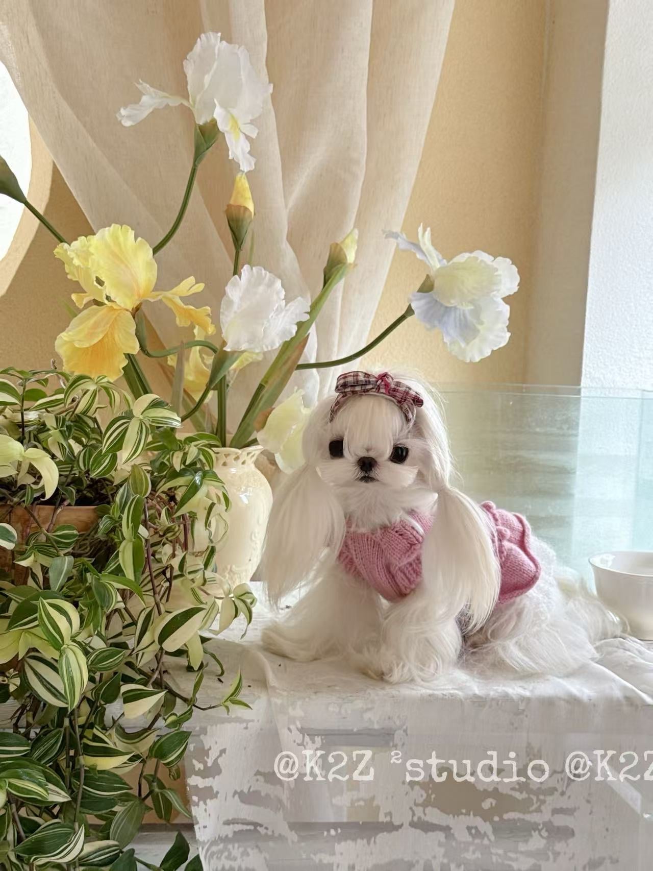 【予約商品】ふわりロゼ