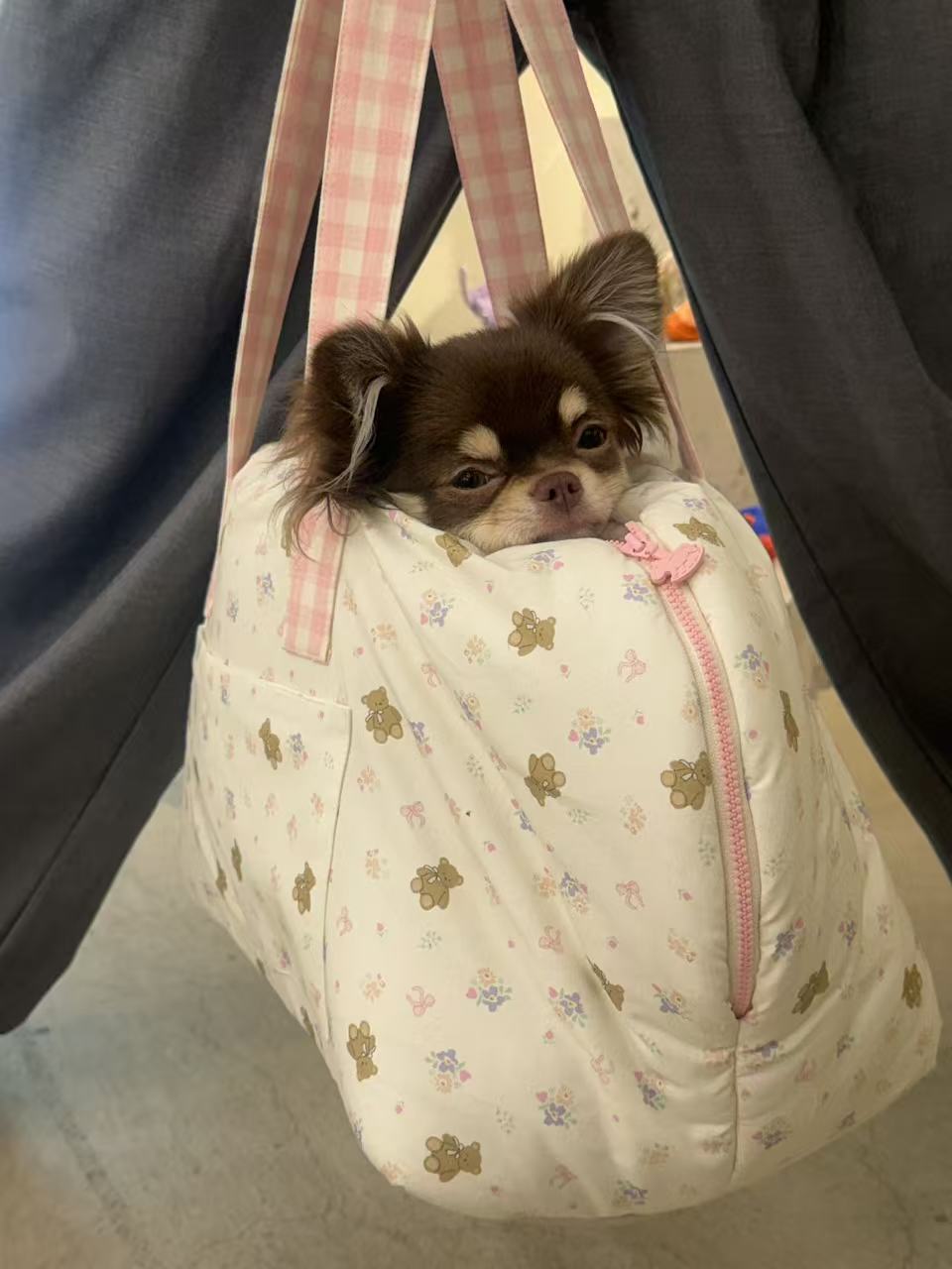 シェルドゥ・クリームバッグ