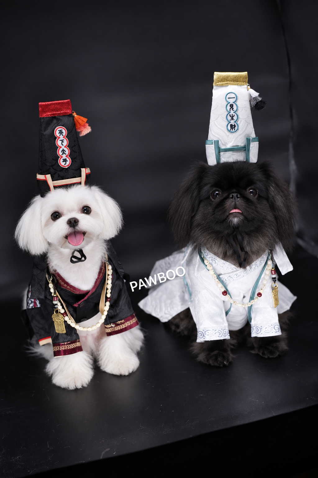 【🎃ハロウィン限定ドッグウェア】黑白Twins