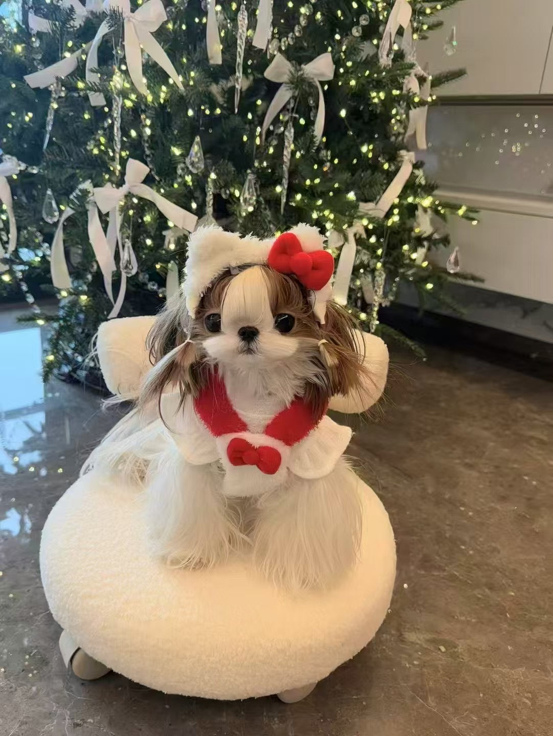 【予約商品】わんちゃんヘアバン